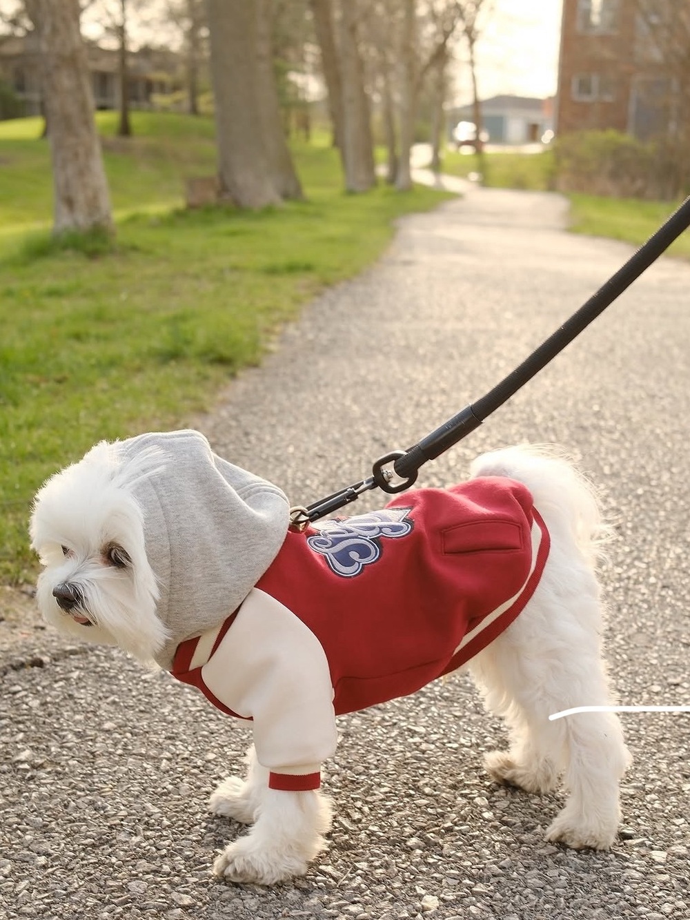 Spark Paws Dog Hoodie jacket